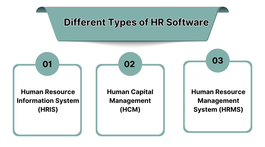 Diffferent Types of HR Software